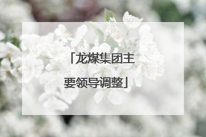 龙煤集团主要领导调整